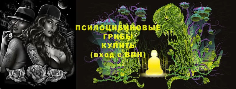 Псилоцибиновые грибы MAGIC MUSHROOMS  blacksprut рабочий сайт  Бакал 